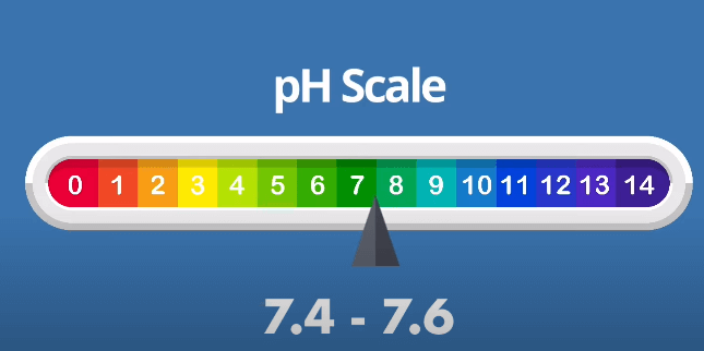 Ph Scale 